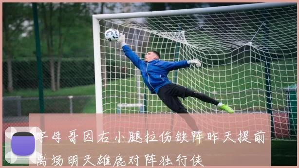 字母哥因右小腿拉伤缺阵昨天提前离场明天雄鹿对阵独行侠